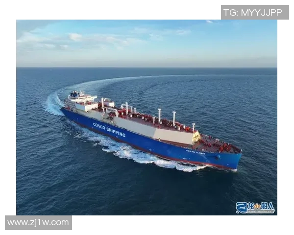 LNG战术调整带来的战略优势与团队表现提升分析