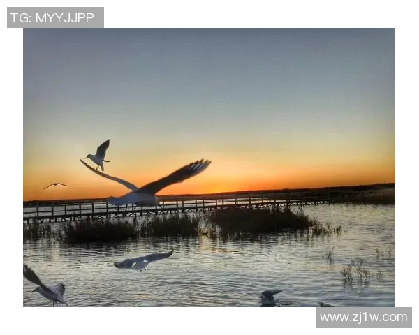 ZEM精英挑战赛悼念zweih的伟大贡献与不朽精神 ZEM精英挑战赛悼念zweih的伟大贡献与不朽精神